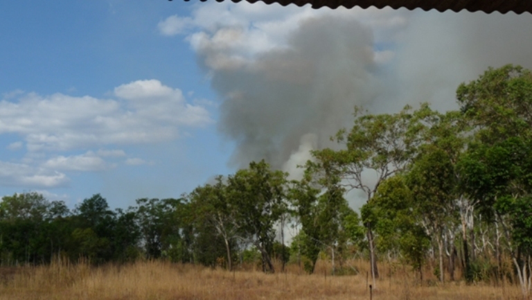Buschfeuer